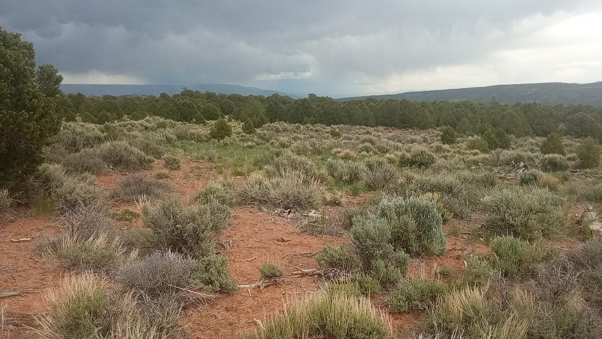 looking west, 7,700'