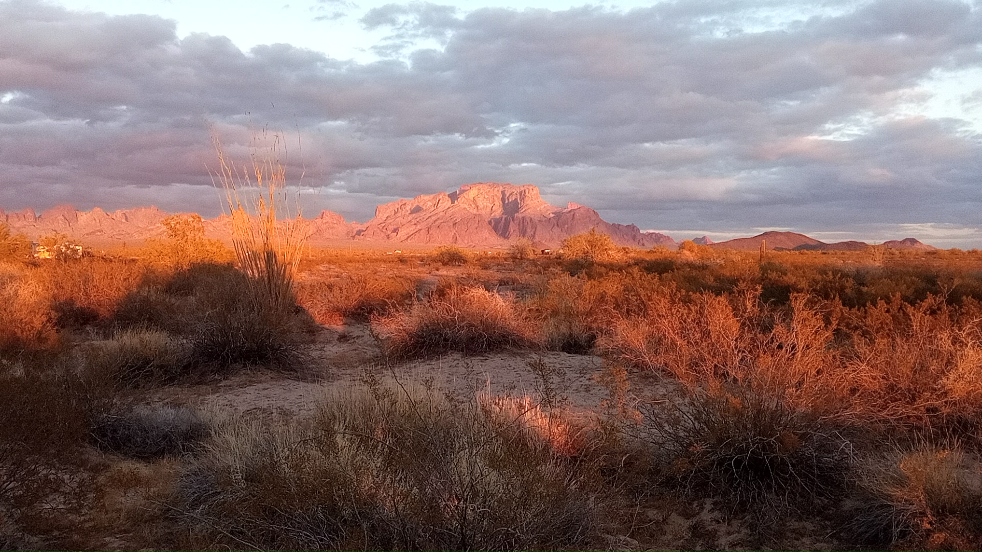 palm canyon