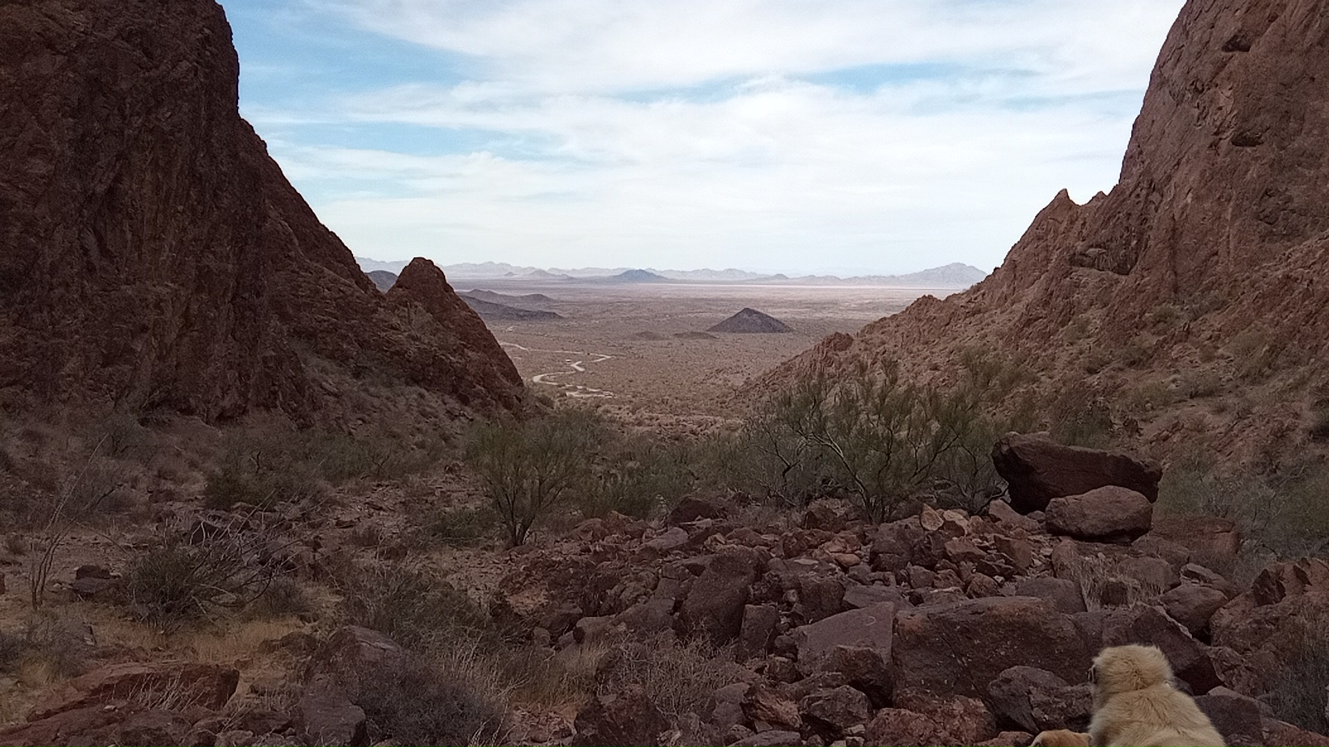 view from Palm Canyon