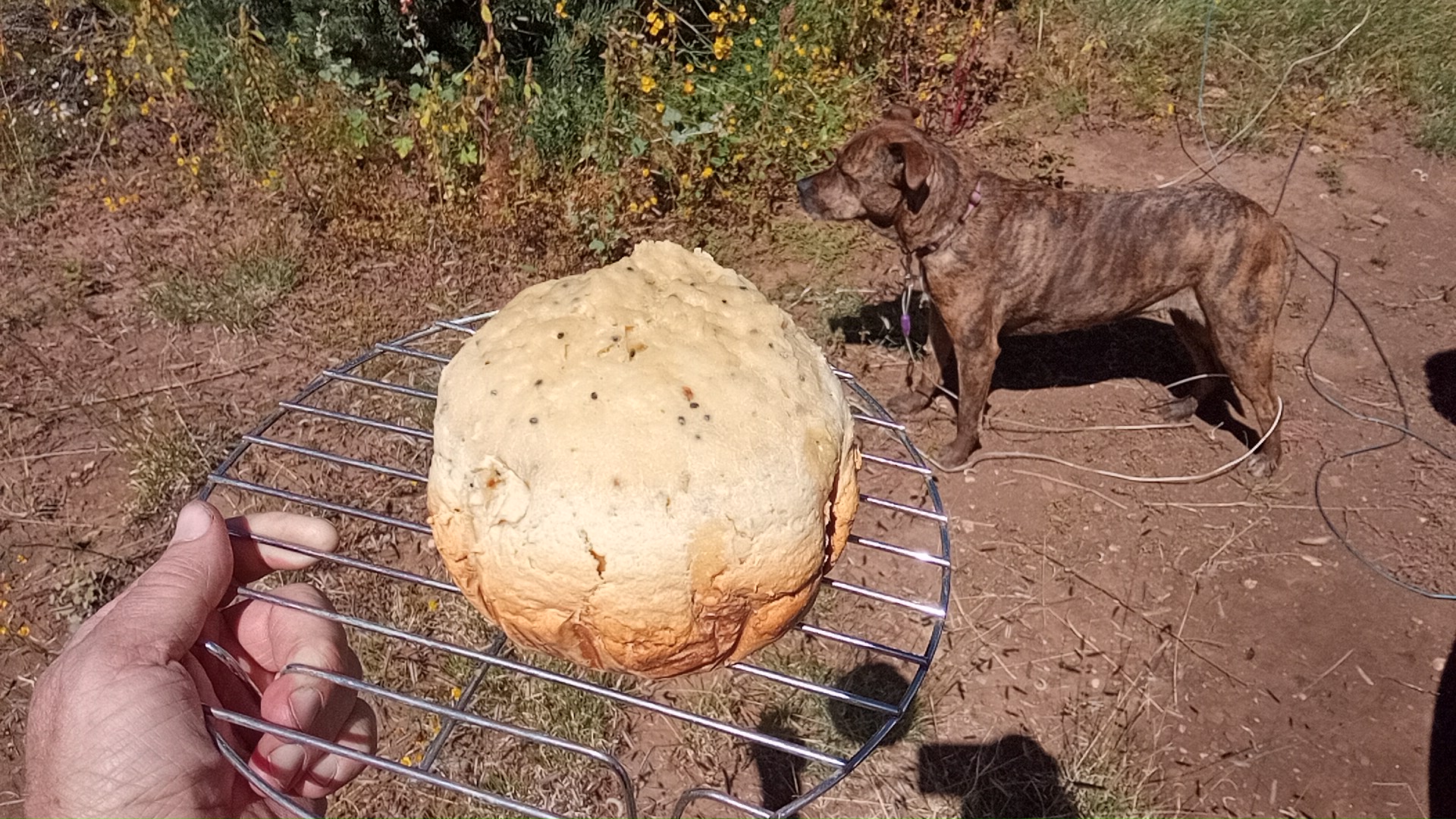 soda bread