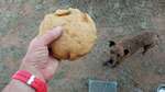 halfsize cornbread